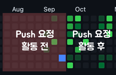 개발자a