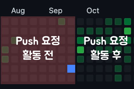 개발자b